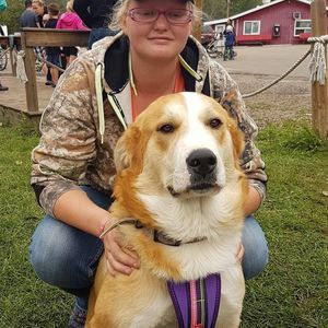 Meet your Posher, Amberly